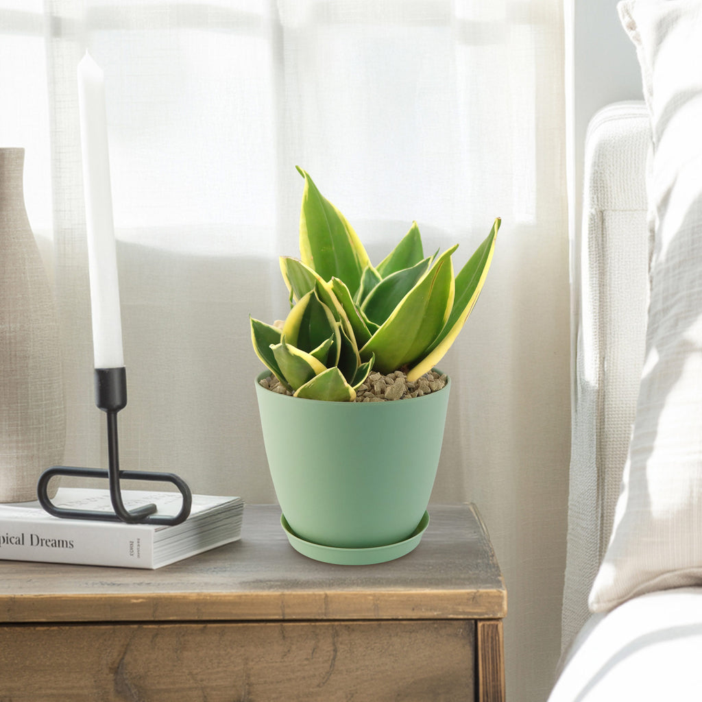 patrol_placeholder_a6ead9acc5af34cb22c78a05ed144ef7