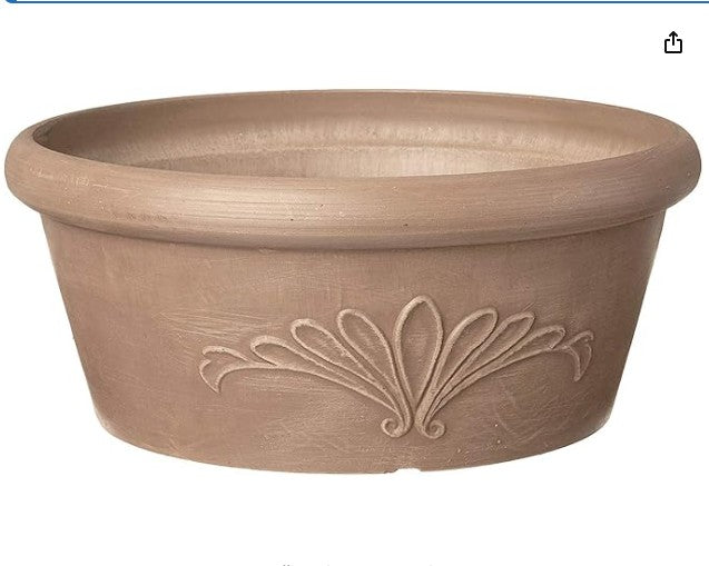 Shallow Planter Cacti Succulent Dish