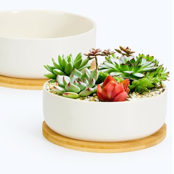 Ceramic Succulent and Cacti High Planter with Drainage Bamboo Tray