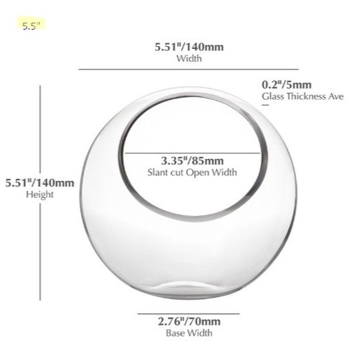 Glass Terrarium With 3 live Plants DIY Kit- Full Moon Glass Small Planter