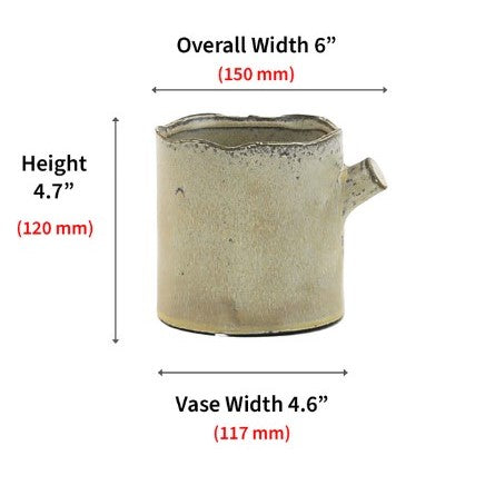 Birch Tree Trunk Vase