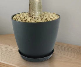 2 Gal Black Houseplant Pot