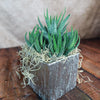 Silver Ceramic Cube Pot, a stylish modern accent that brightens any space and complements contemporary home decor.