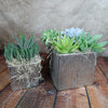 A silver ceramic cube pot and two wooden square planters with assorted succulents and moss on a wood floor, neutral brown backdrop.