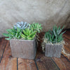 Two silver ceramic cube pots with assorted succulents sit on a wooden floor against a beige textured background for modern home decor.