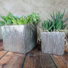 Two silver ceramic cube pots with assorted succulents and moss sit on wood, set against a neutral textured background for modern decor.