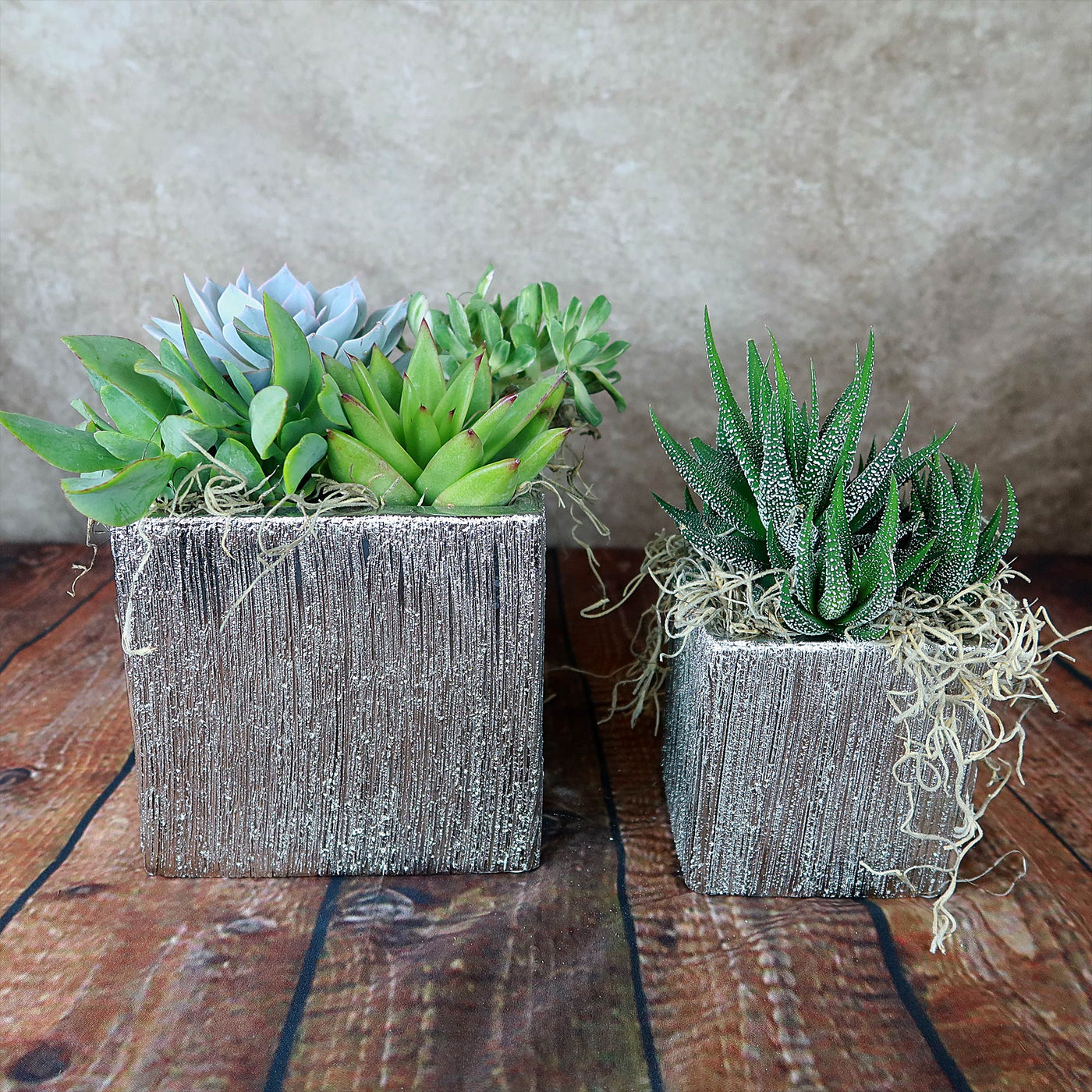 Silver Ceramic Cube Pot – Planet Desert