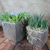 Two square Silver Ceramic Cube Pots, each filled with assorted succulents and dried moss, displayed on a wooden surface.