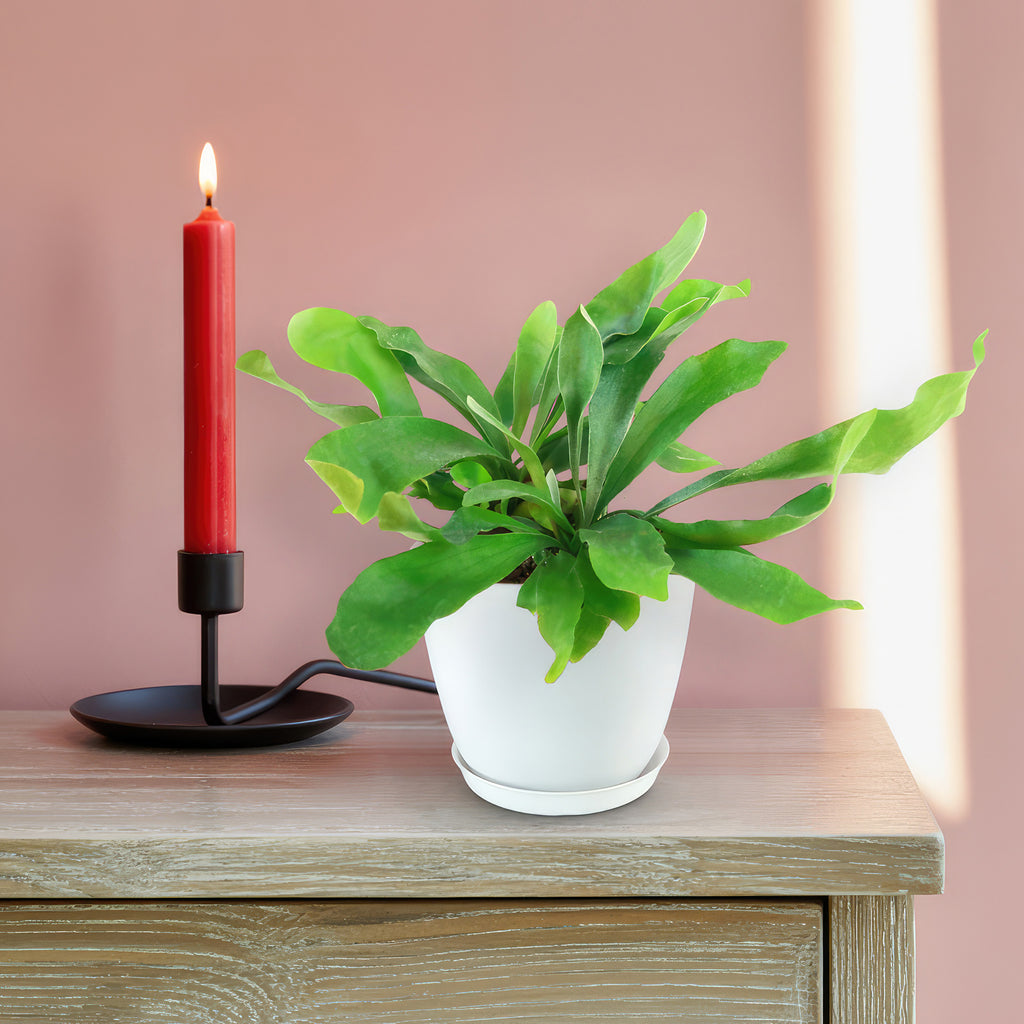 patrol_placeholder_a6ead9acc5af34cb22c78a05ed144ef7