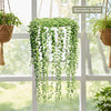 String of Pearls (Senecio rowleyanus) in a sunny window, hanging in a premium macrame planter with lush plants nearby.