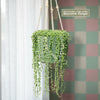 A String of Pearls plant in a light green pot hangs from a white macrame hanger by a window with a pastel green and pink checkered wall.