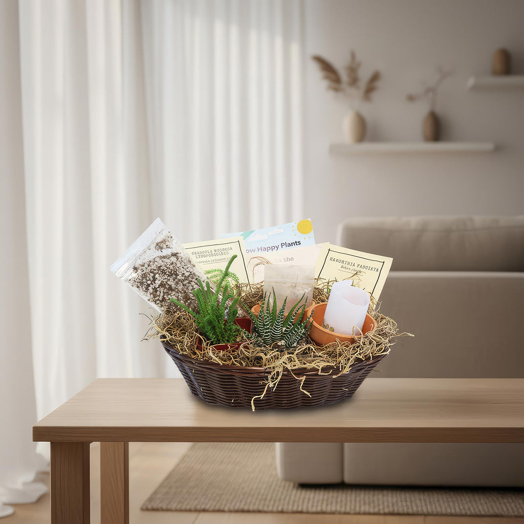 Two potted succulents, plant care items, seeds, candle, and card in a gift basket on a wooden table with a beige sofa behind.