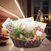 The 2 Succulent Growing Kit Gift Basket on a kitchen counter, with potted succulents, care items, Christmas card, and festive decor.