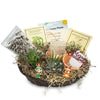 Gift basket with two small potted succulents, care kit, soil, festive figurines, Merry Christmas sign, and straw in a woven dark basket.