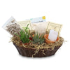 Succulent Growing Kit Gift Basket with a green potted plant, care guide, seed packets, soil mix, and candle in brown shredded paper.