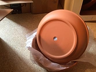 Terra Cotta Pot for Cactus and Succulents- Clay Ceramic Pottery Planter with Drainage Holes