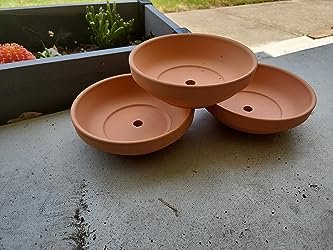 shallow terracotta pots for succulents Terra Cotta Pot for Cactus and Succulents- Clay Ceramic Pottery Planter with Drainage Holes