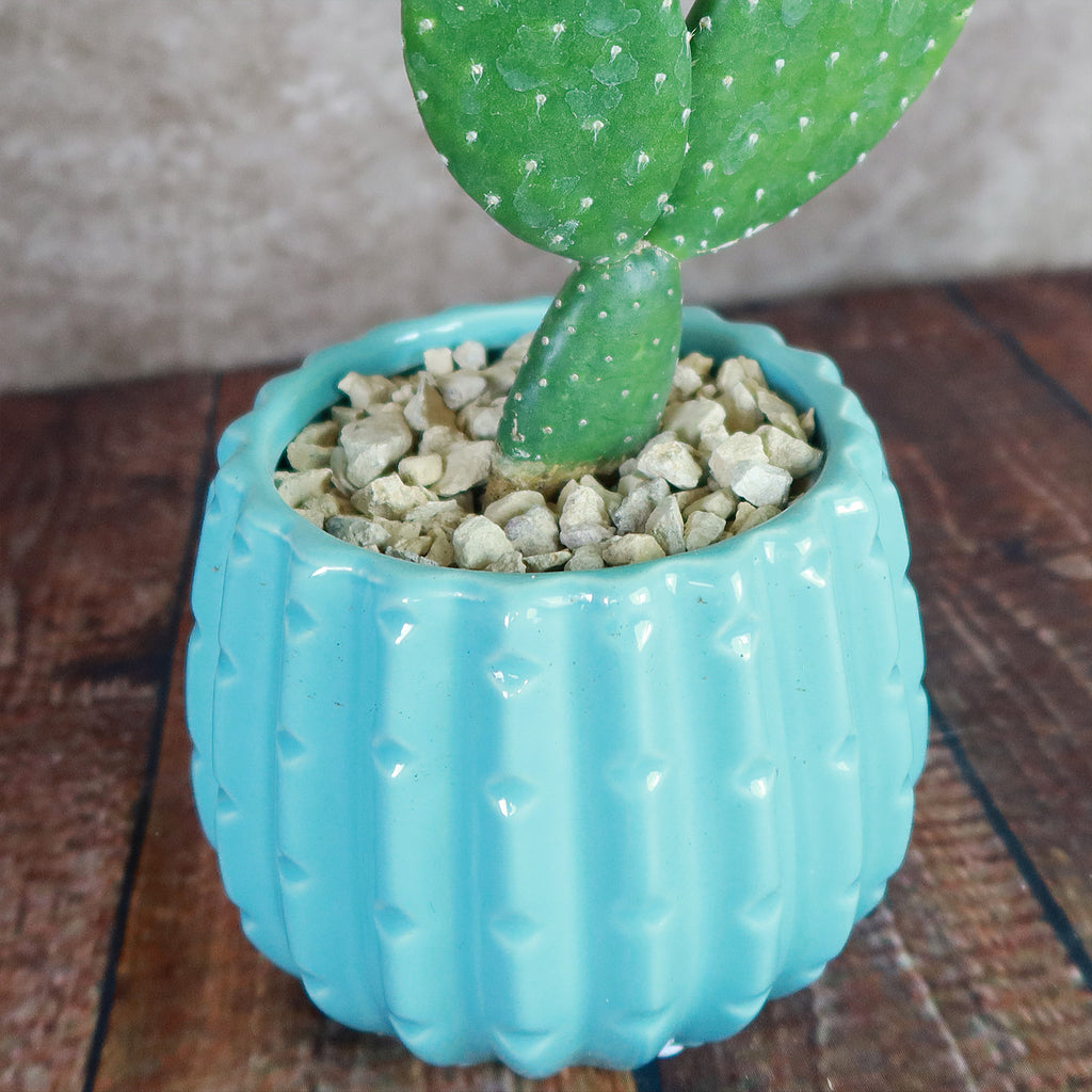 Unique Ceramic Pot
