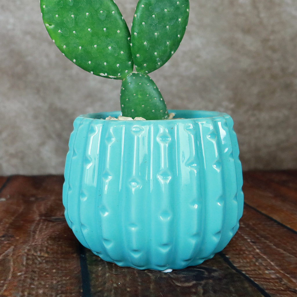 Unique Ceramic Pot
