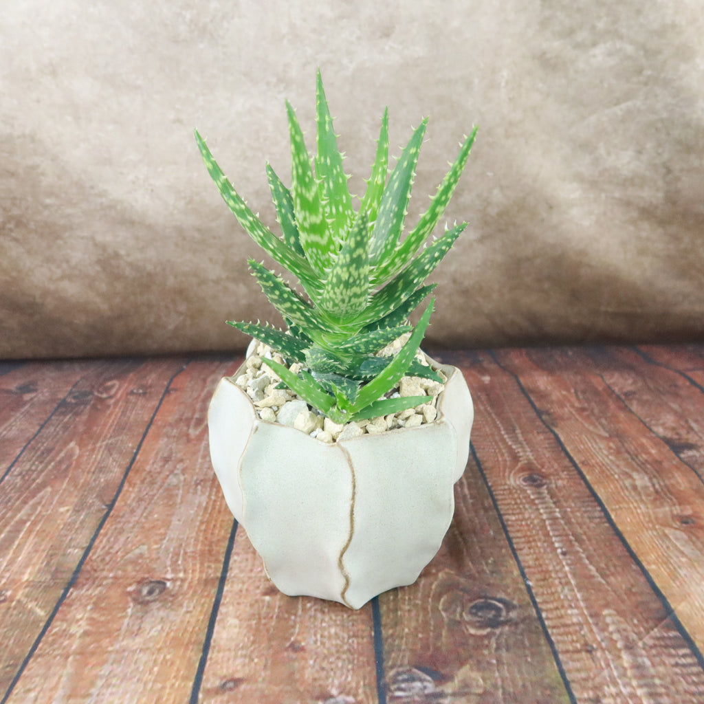 Unique Decorative Pot