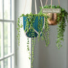 String of Pearls &