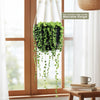 String of Pearls &