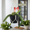 Monkey Tail Cactus – Cleistocactus colademononis 
