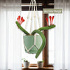 Monkey Tail Cactus – Cleistocactus colademononis 