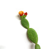 Close-up of Opuntia Mona Lisa prickly pear cactus showcasing a yellow to golden flower with a white background