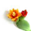 Close-up of Opuntia Mona Lisa prickly pear cactus showcasing a green pad and yellow to golden flowers with a white background