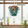 Variegated String of Hearts &