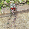 String of Hearts Plant – Ceropegia woodii