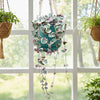 Variegated String of Hearts &
