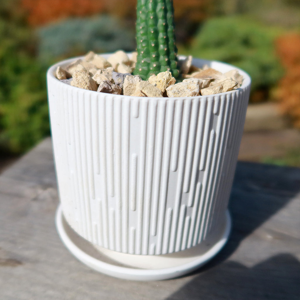 Virago Pot and Saucer