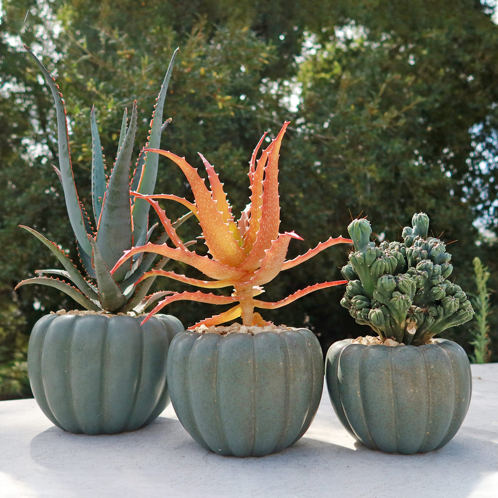 Weathered Hunter Green Pumpkin Pot