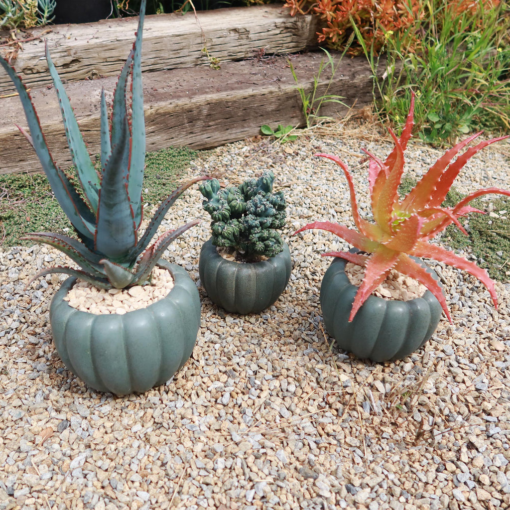 Weathered Hunter Green Pumpkin Pot