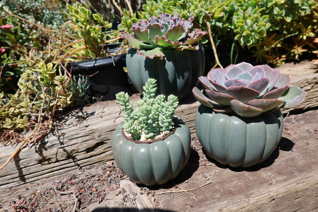 Weathered Hunter Green Pumpkin Pot