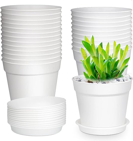 plastic nursery plant pots Cactus or Succulent Plastic Nursery Pot with Drainage and Saucers 4" Pot / White