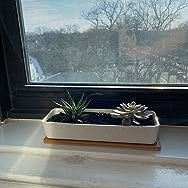 Sleek White Ceramic Succulent Planter:Rectangular Pot with Bamboo Saucer