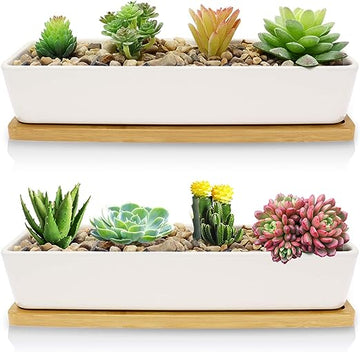 wide succulent planter Sleek White Ceramic Succulent Planter:Rectangular Pot with Bamboo Saucer