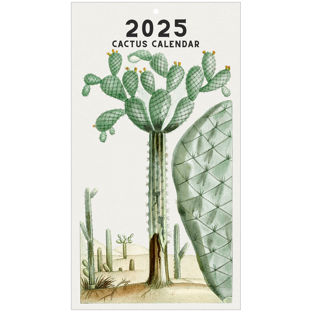 2025 Cactus Calendar