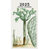 2025 Cactus Calendar