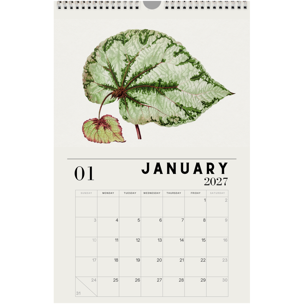 generated-preview-13