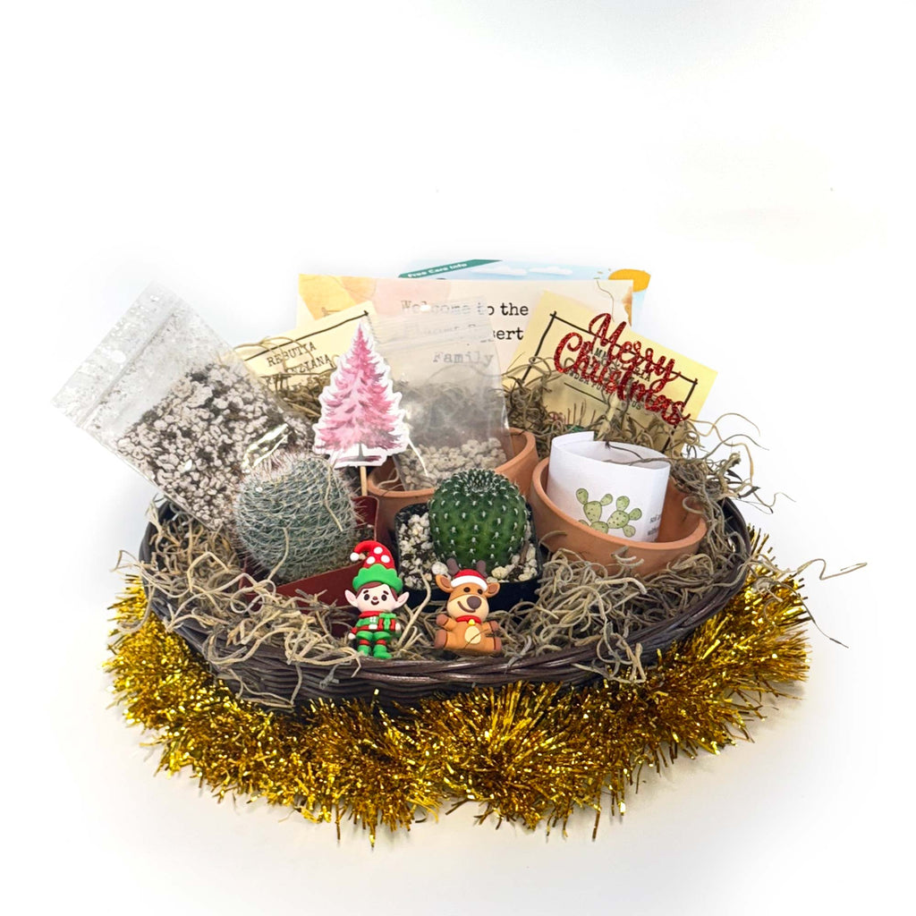 2 Cacti Growing Kit Gift Basket – A Creative Holiday Gift