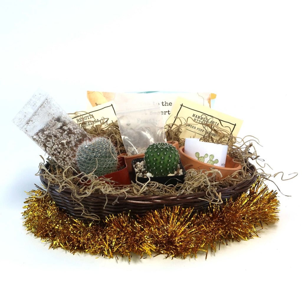 2 Cacti Growing Kit Gift Basket – A Creative Holiday Gift