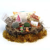 2 Cacti Growing Kit Gift Basket – A Creative Holiday Gift