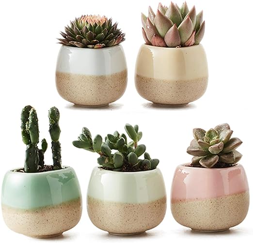 2.2-Inch Ceramic Succulent Planter with Flowing Glaze - Ideal for Cacti and Flowers