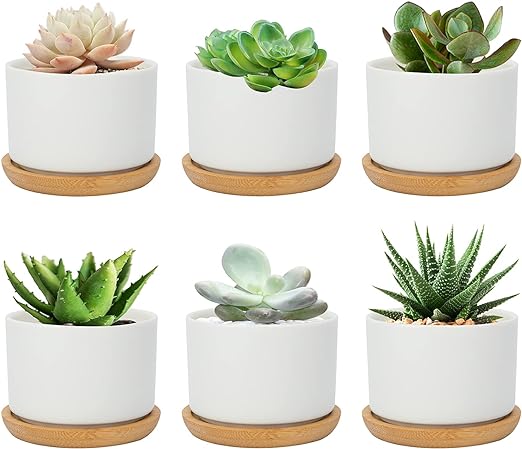 Mini White Ceramic Cactus Planter with Drainage Hole and Bamboo Tray