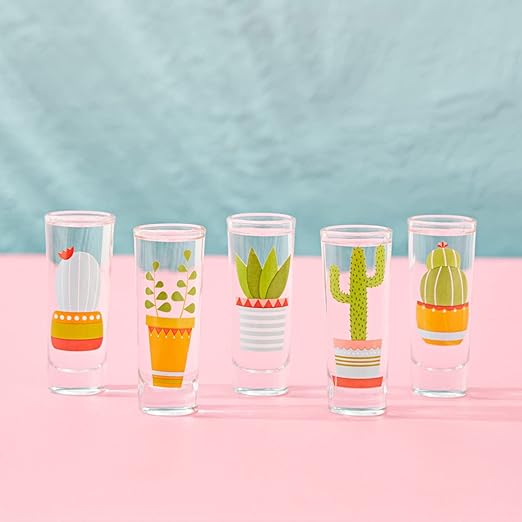 Decorative Gift Shot Glass with Cactus Designs- 2 oz Party Size Shot Glasses Set of 5