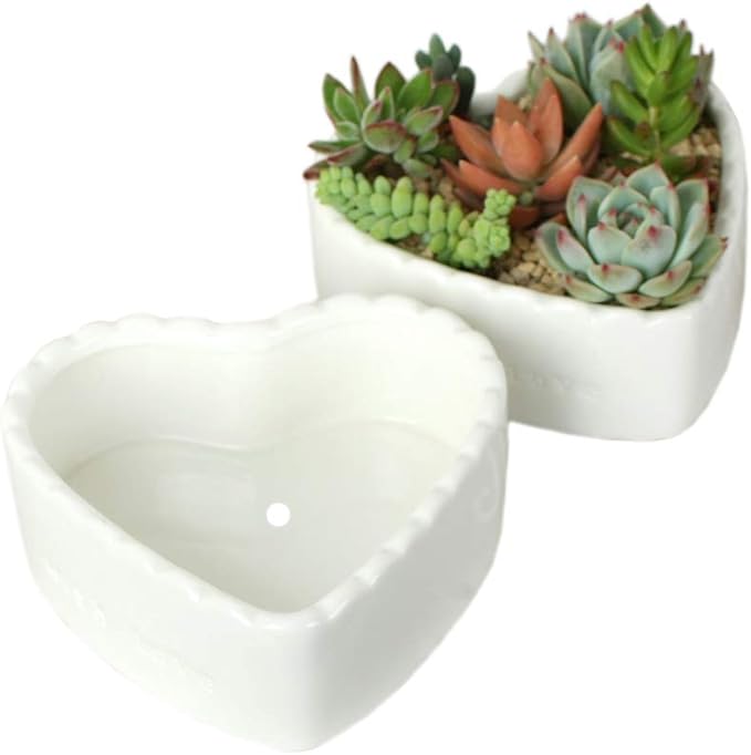 Ceramic Heart-Shaped Cream-White Succulent Plant Pots